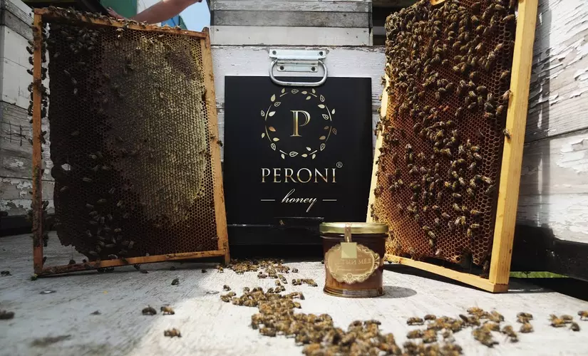 Франшиза Peroni Honey - цена, условия и как купить