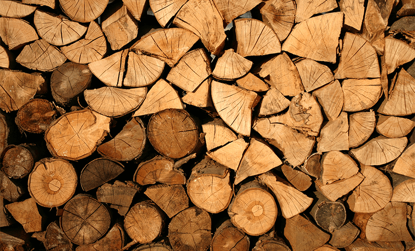 Как открыть бизнес на дровах с нуля