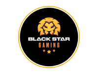Франшиза Black Star Gaming - цена, условия и как купить
