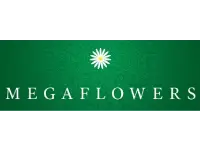 Франшиза «Megaflowers» - цена, условия и как купить