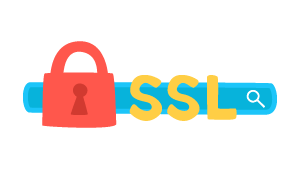 Мы используем SSL