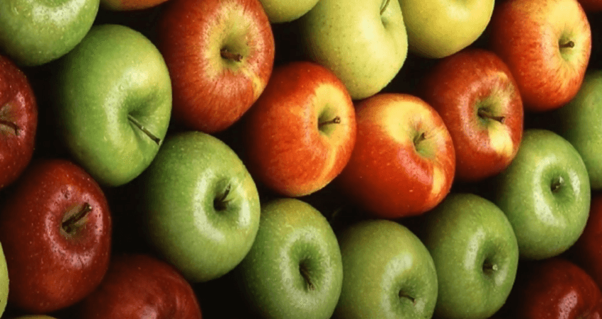 Выращивание яблок как бизнес идея