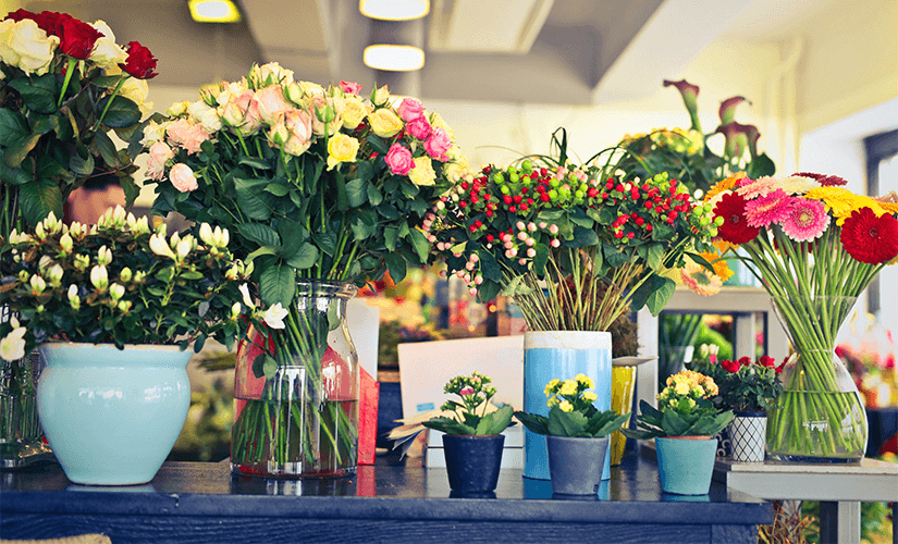 Цветочный бизнес: можно ли открыть прибыльное дело с нуля