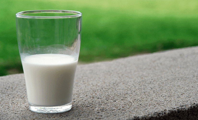 Как открыть молочную ферму: пошаговый бизнес-план