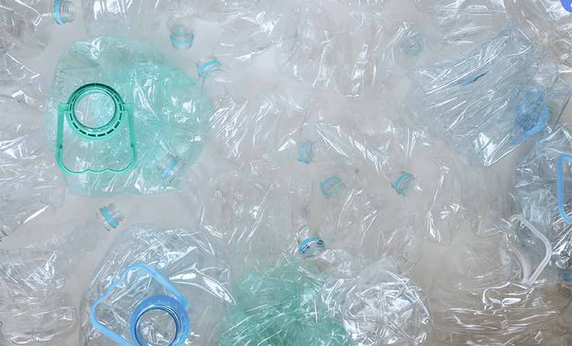 Бизнес на переработке пластиковых бутылок
