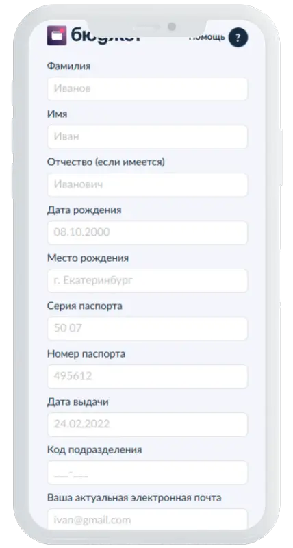 Заполнение анкеты в Бюджет