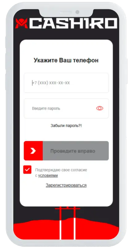 Анкета для займа в Cashiro