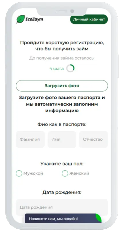Паспорт в EcoZaym
