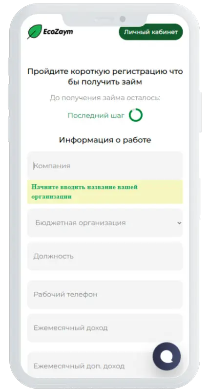 Данные о доходах в EcoZaym
