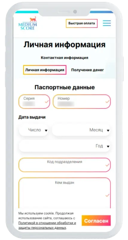 Паспортные данные в Medium Score