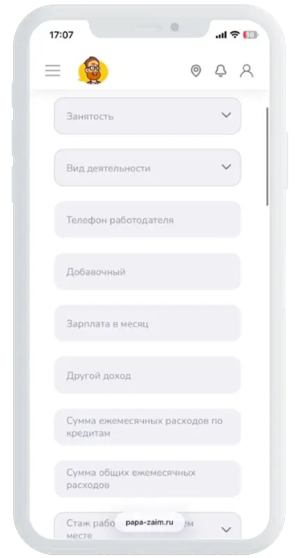 Информация о доходах в Папа Займ