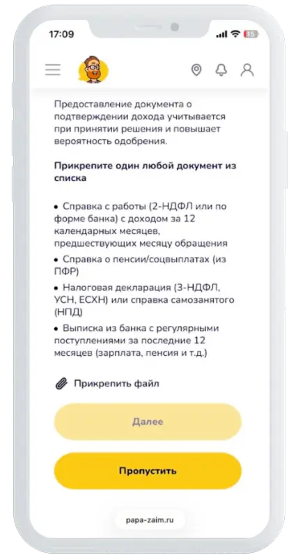 Документы о доходах в Папа Займ