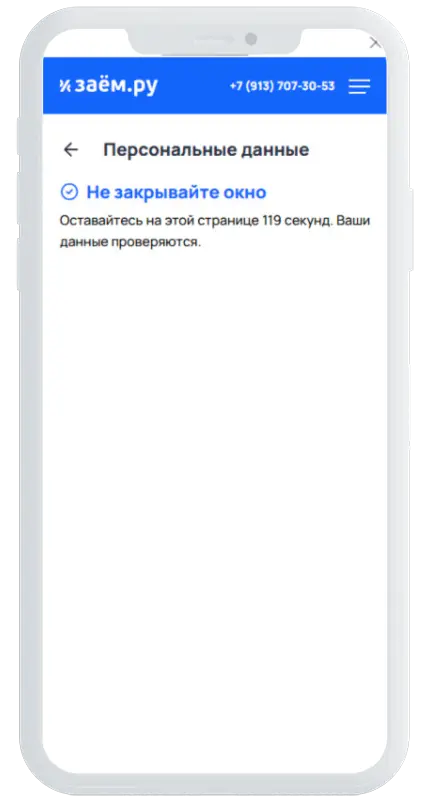 Обработка заявки в Заем.ру